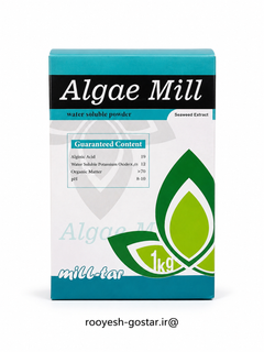 کود جلبک دریایی پودری 80% Algae Mill (میلتار) – ۱ کیلوگرم