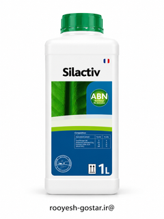 سیلیکات پتاسیم (Silactiv) فرانسه